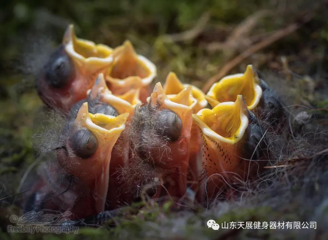 微信图片_20210821093045.jpg 微信图片_20210821093045.jpg
